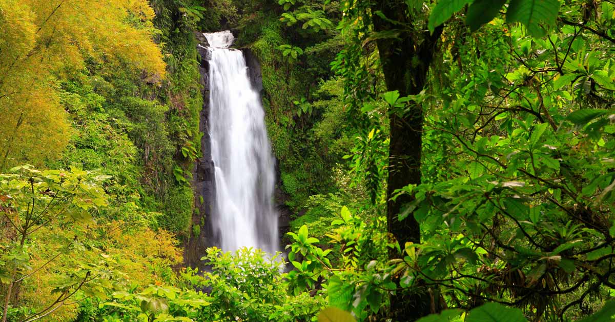 Waterfall in Morne Trois Pitons National Park in Dominica