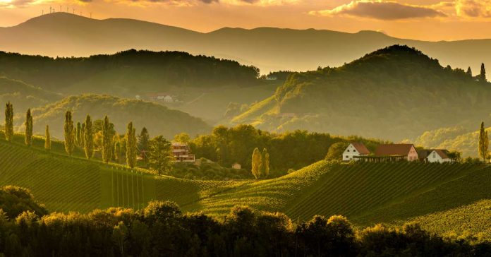 South styria vineyards landscape, near Gamlitz, Austria, Eckberg, Europe. Grape hills view from wine road in spring.